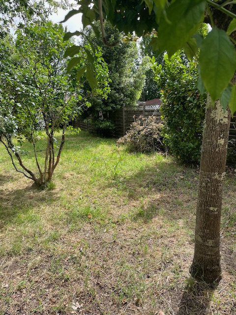 Agence immobilière de Agence Gruener Immobilier